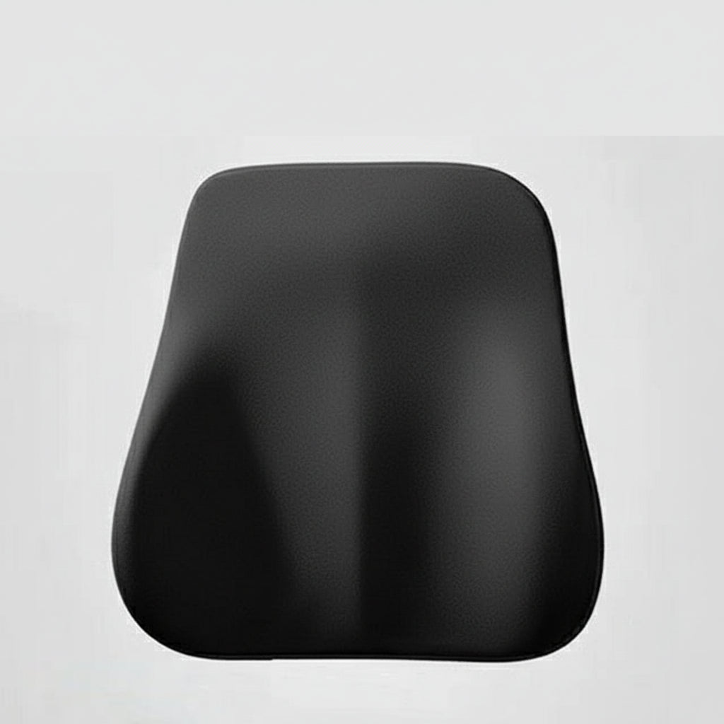 Memory Foam Neck and Lumbar Pillow