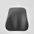 Memory Foam Neck and Lumbar Pillow
