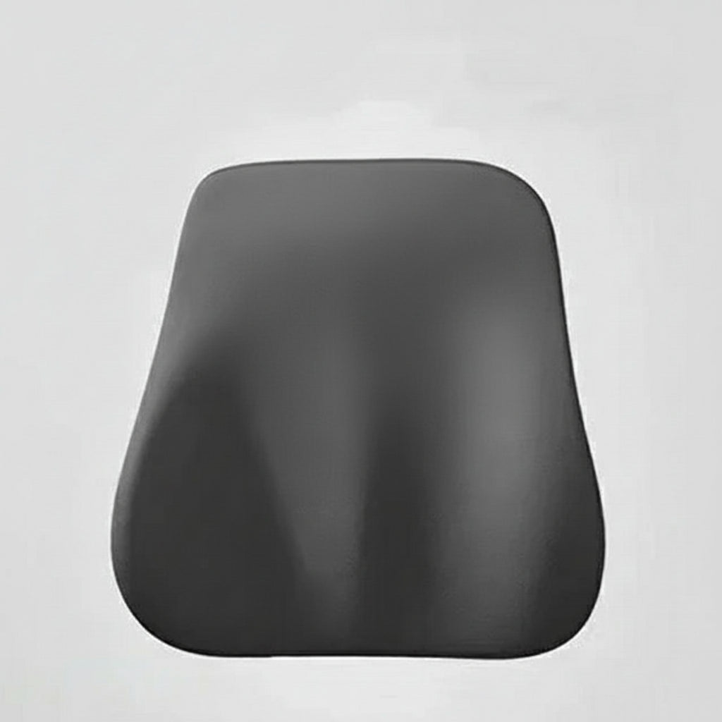 Memory Foam Neck and Lumbar Pillow